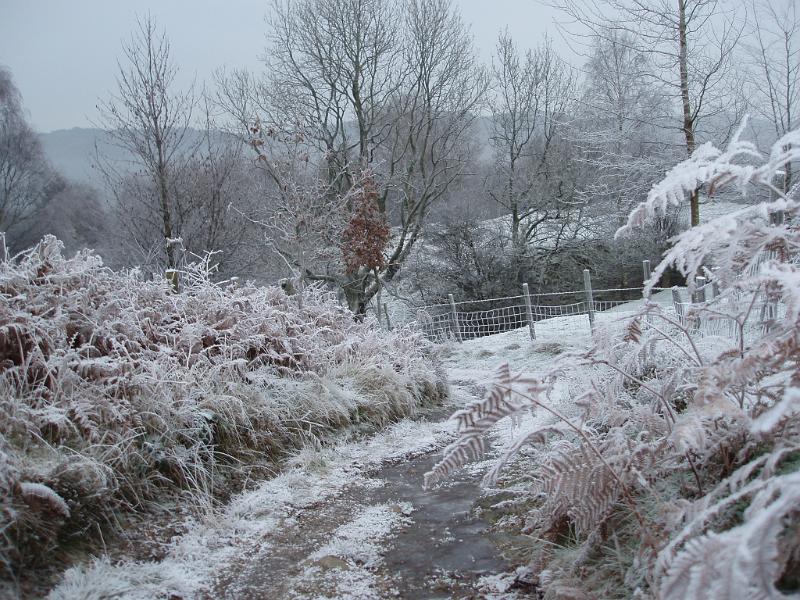 Free Stock Photo: everything frozen solid after a freezing winter night
